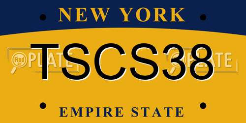 TSCS38 New York License Plate