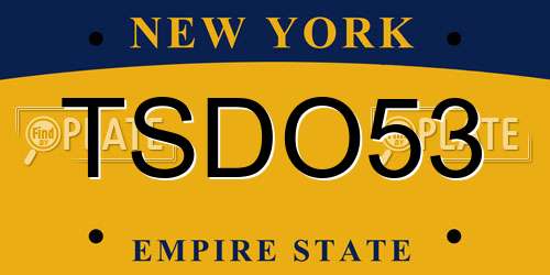 TSDO53 New York License Plate