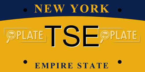 TSE New York License Plate