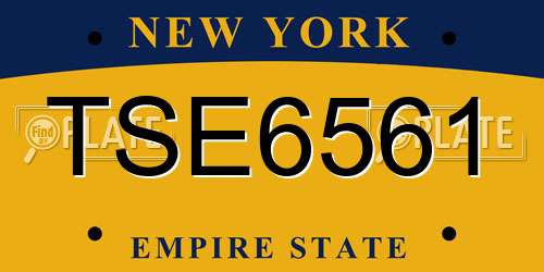 TSE6561 New York License Plate