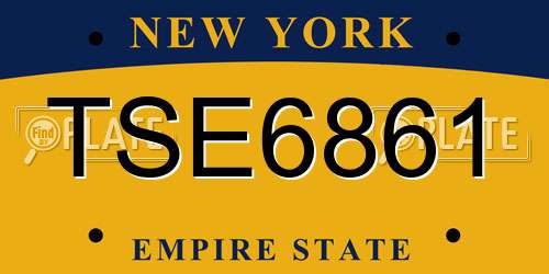 TSE6861 New York License Plate