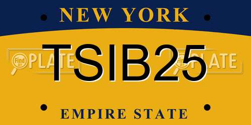 TSIB25 New York License Plate