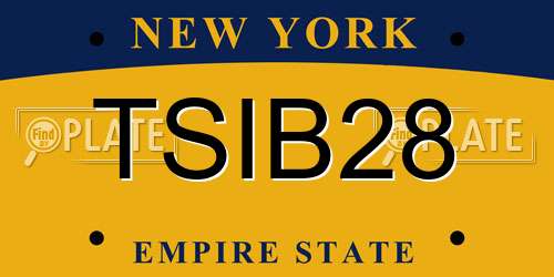 TSIB28 New York License Plate