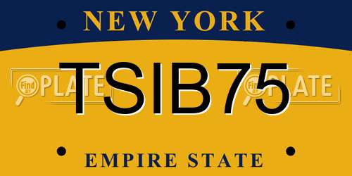 TSIB75 New York License Plate