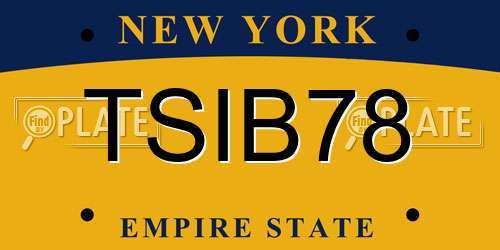 TSIB78 New York License Plate