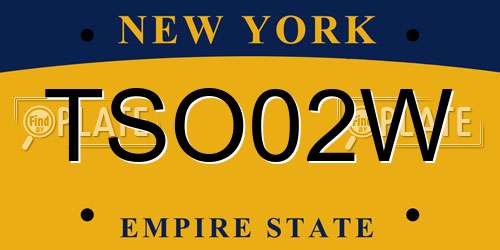 TSO02W New York License Plate