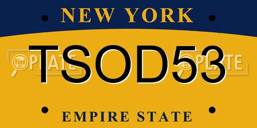 TSOD53 New York License Plate