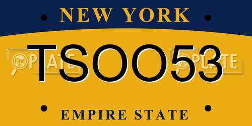 TSOO53 New York License Plate