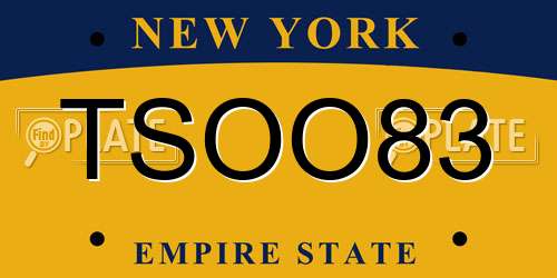 TSOO83 New York License Plate