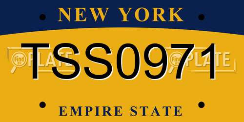 TSS0971 New York License Plate