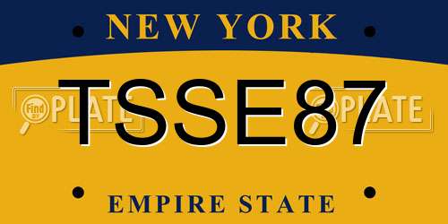 TSSE87 New York License Plate