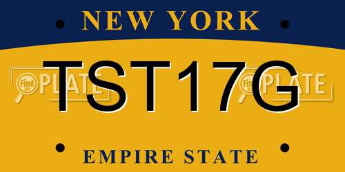 TST17G New York License Plate