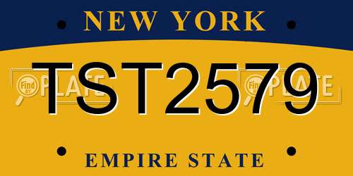TST2579 New York License Plate