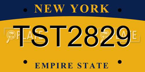 TST2829 New York License Plate