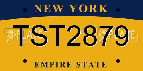 TST2879 New York License Plate