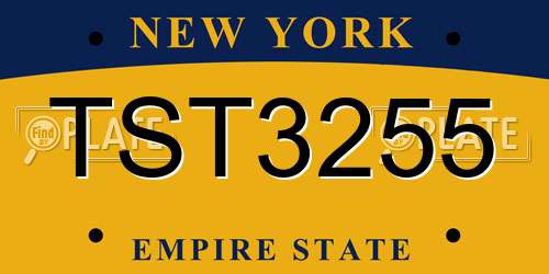TST3255 New York License Plate