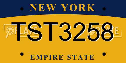 TST3258 New York License Plate