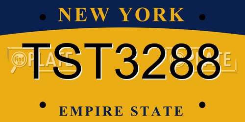 TST3288 New York License Plate