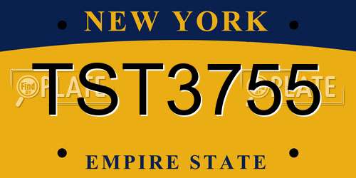TST3755 New York License Plate