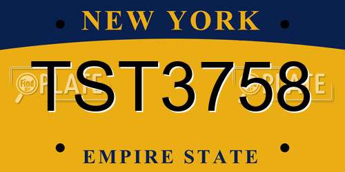 TST3758 New York License Plate