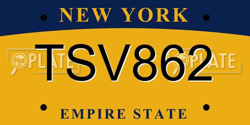 TSV862 New York License Plate