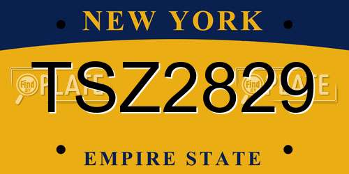 TSZ2829 New York License Plate