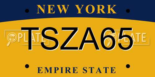 TSZA65 New York License Plate