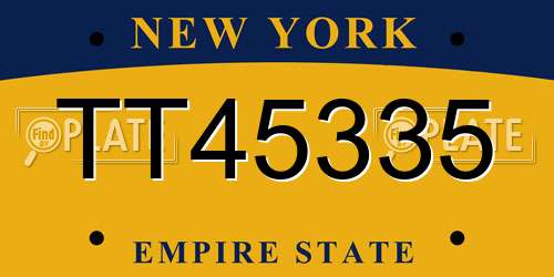 TT45335 New York License Plate