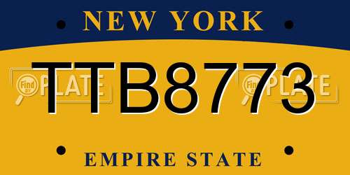 TTB8773 New York License Plate