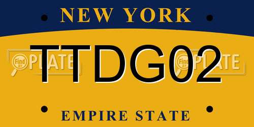 TTDG02 New York License Plate