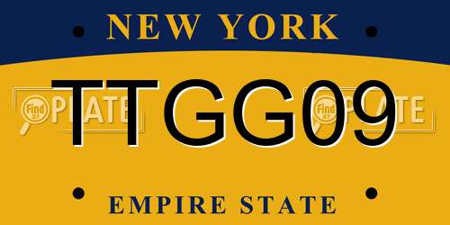 TTGG09 New York License Plate
