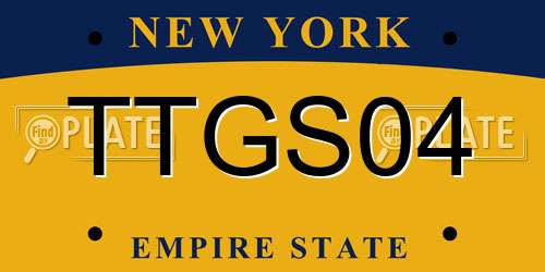 TTGS04 New York License Plate