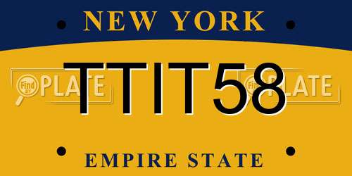 TTIT58 New York License Plate