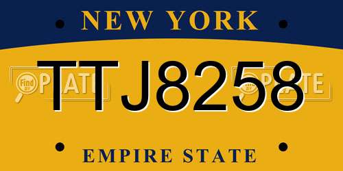 TTJ8258 New York License Plate