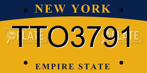 TTO3791 New York License Plate
