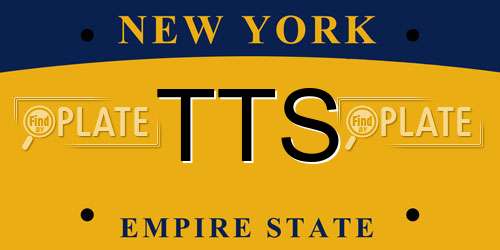 TTS New York License Plate