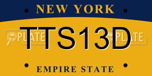 TTS13D New York License Plate