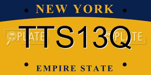TTS13Q New York License Plate