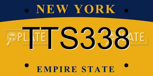 TTS338 New York License Plate