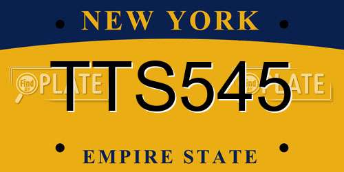 TTS545 New York License Plate