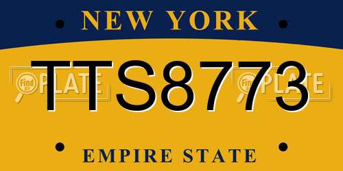 TTS8773 New York License Plate