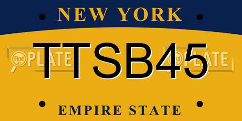 TTSB45 New York License Plate