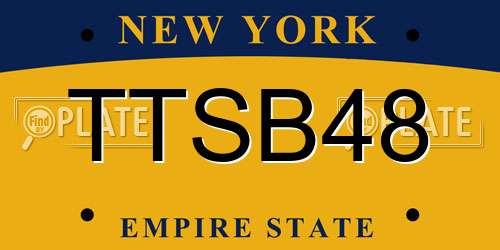 TTSB48 New York License Plate