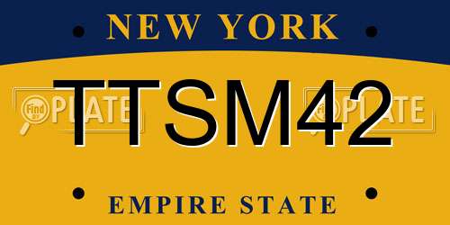 TTSM42 New York License Plate