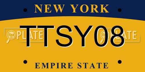 TTSY08 New York License Plate