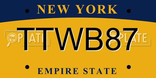 TTWB87 New York License Plate