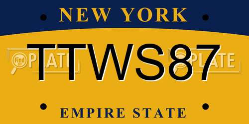 TTWS87 New York License Plate