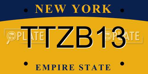 TTZB13 New York License Plate