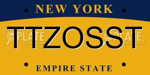 TTZOSST New York License Plate