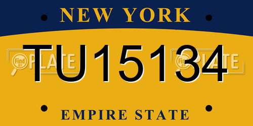TU15134 New York License Plate